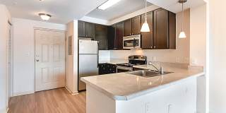 Blu Atlantic Gallery 22