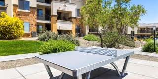 Olympus Alameda Gallery 41