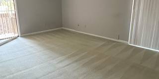 250 Sugar Gum Lane Gallery 7
