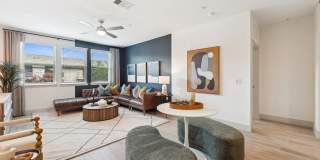 The Albright Gallery 10