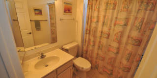 2017 W Via Nuevo Leon Gallery 10