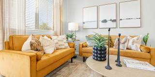 Canopy at Cottonwood Gallery 13