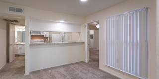 Biltmore Biltmore Gallery 12