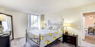 Ashton Heights Gallery 14