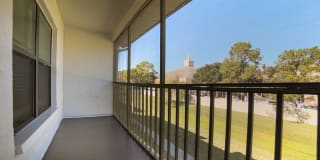 Palms of Clearwater Gallery 50