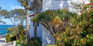 Charming comfy Studio in La Jolla Village! Gallery 28