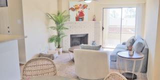 Villa Del Mar Gallery 3