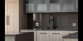 The Merian Gallery 12