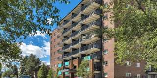 825 Dahlia Gallery 1