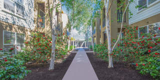 The Village at Town Center Gallery 15