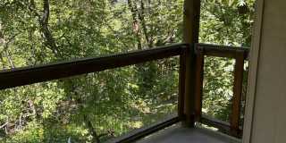 The Treetops Gallery 1