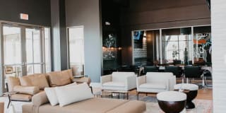 Tanager Tanager Gallery 30