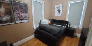 Massive Luxury Apt in Packards Corner Near BU!  Central AC & Heat, XL Rooms! Gallery 7