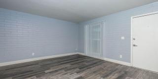 Bellevue Towers Gallery 80
