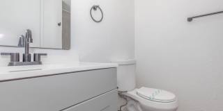 Metro Tucson Gallery 15