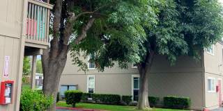 Solana Park Gallery 4