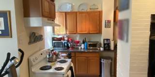Nice 1 bed with office Gallery 6