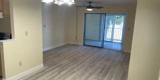 225 South Tropical Trail - 619 Gallery 9