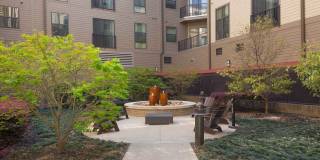 The Ellison Gallery 18