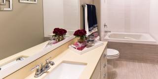 Carraway Village Gallery 23