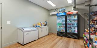 The Revival Gallery 20