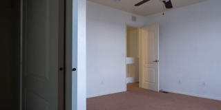 10736 Canyon Sage Drive Gallery 14