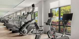 The Rosery Gallery 16