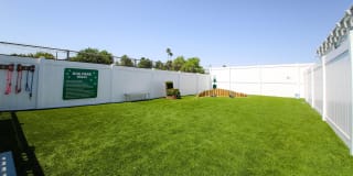 Cedar Glen Gallery 14