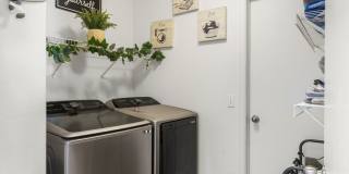 7509 Sistine Lane Gallery 23