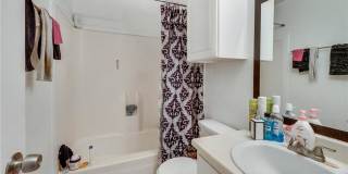 1526 Pine Ridge Drive - D Gallery 7