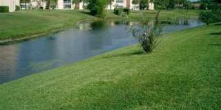 2901 Fiore Way Gallery 4