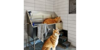 Green Leaf Lofts Gallery 18