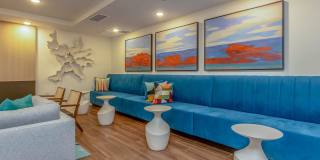 Vineyards Gallery 99