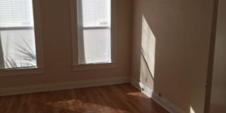 North Hyde Park Bungalow. Near UT & SOHO Gallery 5