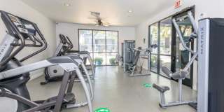 Treehouse Apartments Gallery 19