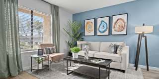 Solas Glendale Gallery 12