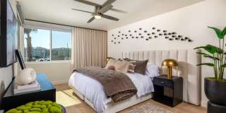 Dolphin Marina Gallery 9