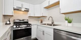 Arcadia on 49th Gallery 7