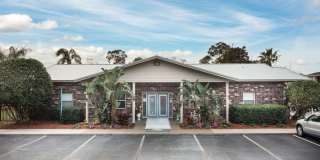 Sea Oats Sea Oats Gallery 8