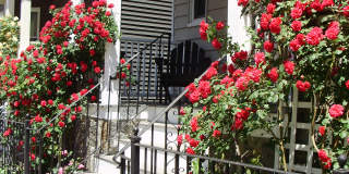 36 Saint Margaret Street Gallery 1