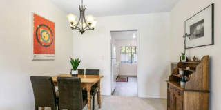 1133 Pine St Apt 110 Gallery 5