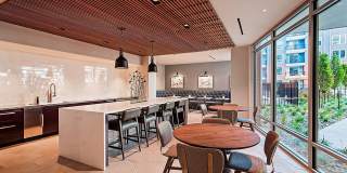 The Vue Gallery 24