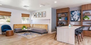 Softwind Point Gallery 2