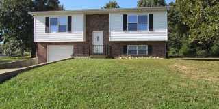 3 Bedroom House Close to FLW -  New LVP Flooring May 2024! Gallery 1