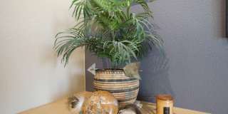 60259 Prickly Pear Gallery 30