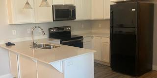 Beautiful 3 bed 2 bath townhome in Vineyard Gallery 1