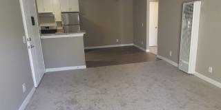 652 Moss St Gallery 12