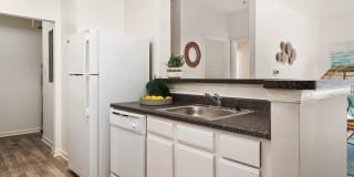 Marley Manor Luxury Apartment Homes Gallery 8