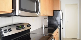 Ricardo Ricardo Gallery 34