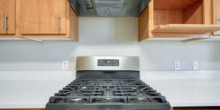 Coventry Park Gallery 26